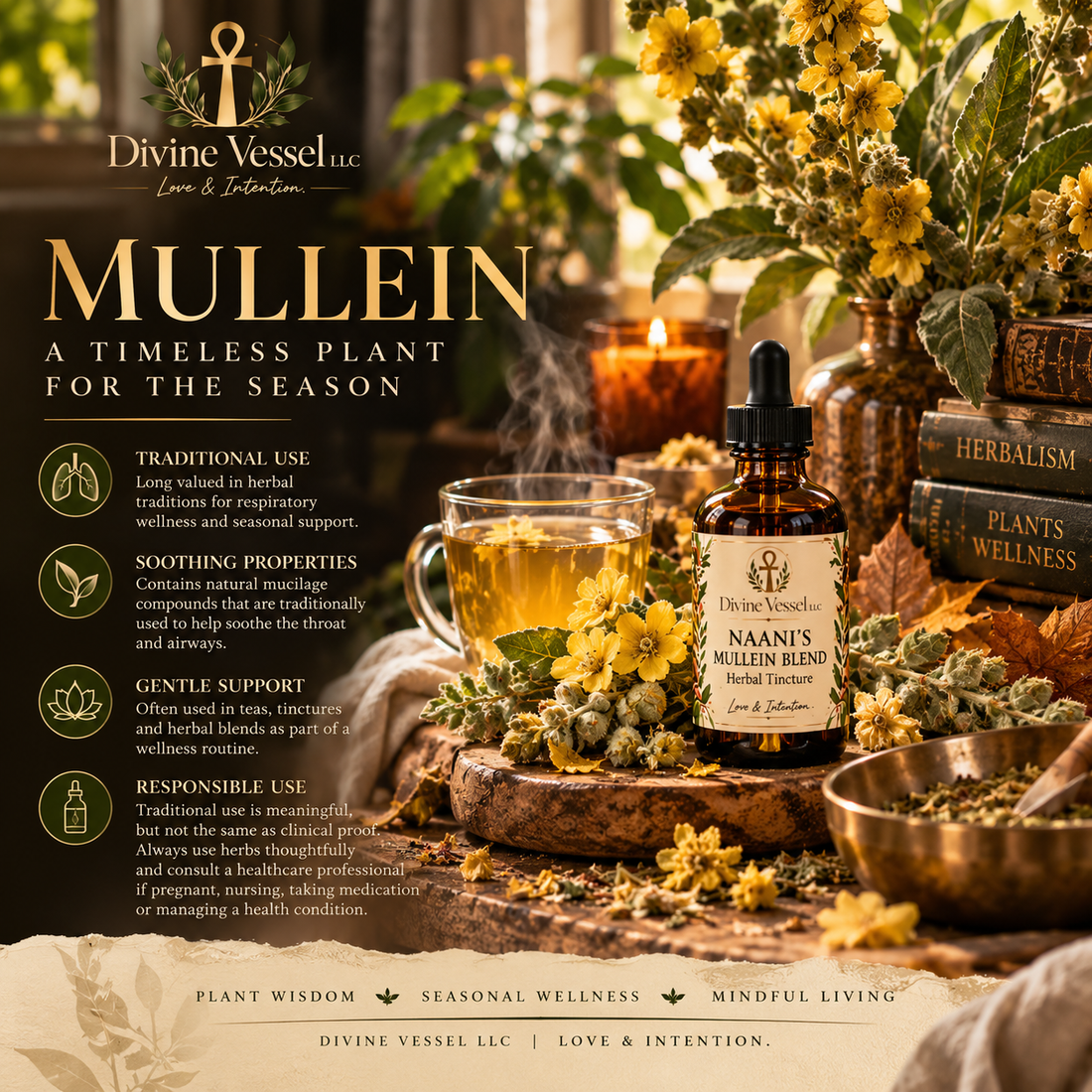 Mullein: A Timeless Plant for the Changing Seasons